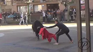 Fiestas de Aldeanueva de Ebro 2025