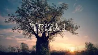 Hecton - Tribal