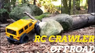 RC Cars - RC Crawler Axial SCX24 - Remote Control Car - RC ROLLING