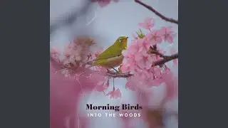 Gentle Birds