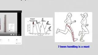 The truth on seven bows in the internal Wing Chun demo