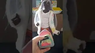 Real Little Backpacks! SmartDoll Storm does a box opening! BJD Dolly props.