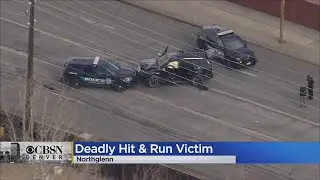 Debra Blanchard Identified As Victim In Deadly Northglenn Hit-And-Run