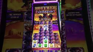 $4 Buffalo Ascension! Massive Angry Buffalo Jackpot Handpay Rio Las Vegas! Amazing Slot Machine Win!