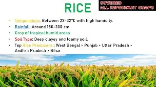Major crops of India | Full notes on every Crop's Growing condition, Temp, Rainfall, Soil types
