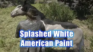 Splashed White American Paint, Red Dead Redemption 2, RDR2