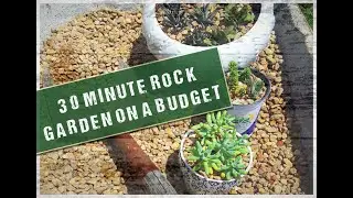 30 Minute Rock Garden On A Budget