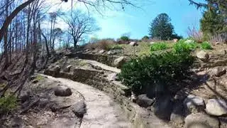 🌿 Discover the Hidden Gems of Holliday Park: The Ruins, Gardens, and Hiking Trails (360 Degrees 4K)