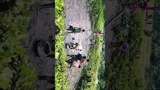 Village bill fishing video