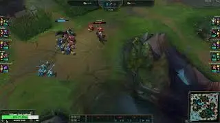 Warwick Q reset bug