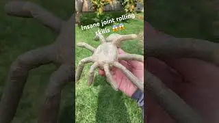 Insane joint rolling skills