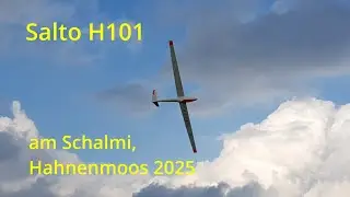 Salto Abendflug am Schalmi, Hahnenmoos 2025