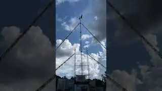 Braden Rumpit High Dive Reel