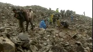 Through tough terrain and weather: Nanda Devi Raj Jat Yatra