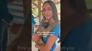 The best moment of my life#happy #cute #sloth #happybirthday
