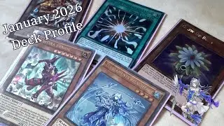 Январь 2026 г. Слезы Yu-Gi-Oh! Профиль колоды TCG