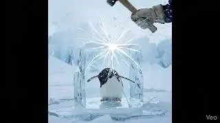 He Broke the Ice to Save a Penguin | A Powerful Rescue in Antarctica