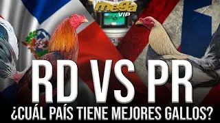 Puerto Rico vs República Dominicana: ¿Cuál País tiene los MEJORES GALLOS?