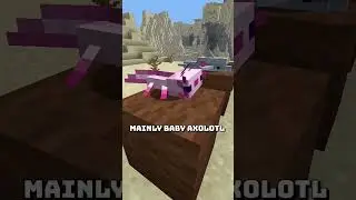 #minecraft#factshort, how a mob can stay baby forever