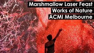 Marshmallow Laser Feast: Works of Nature at ACMI Melbourne