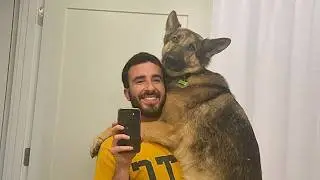 When You Have Velcro Dog in Your House 😂 Funny Dog and Human Videos