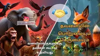  தவளை பொறுமை பெருமை #Pomma channel. #Thavalai porumai perumai kathai tamil. @pommatv23 