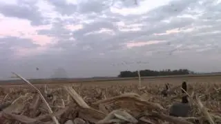 Rock River Outdoors October Goose Hunt