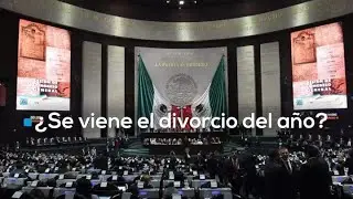 ¿Se acabó el amor? La Reforma que podría divorciar a Morena y al Verde