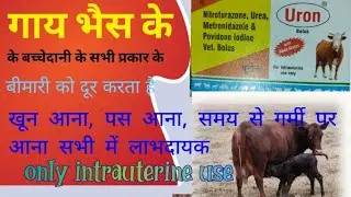 uron bolous | गाय भैस ब्याने के गर्भाशय /बच्चेदानी में रखने की दवा | uron bolous | Manjhi Veterinary