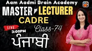Master Cadre Punjabi | 2nd paper preparation |master cadre new update |Aam Aadmi Brain Academy