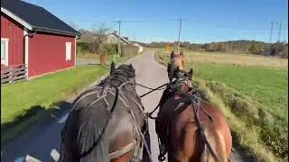 Unghästträning Körning Jones 2025-10-18