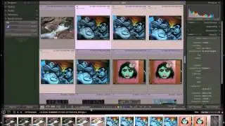 Lightroom 4 Toolbar 8