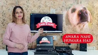 Awara Nahi Humara Hai 🐾 | Street Dogs Are Our Responsibility | Care N Hope | Animal Rights Awareness