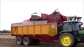 Aardappels rooien / Potato harvest / Kartoffelernte / Dewulf / Aardappeloogst 2018 / Agriculture