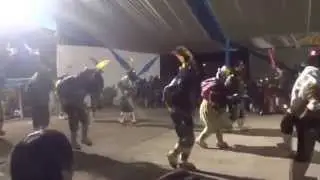 SAQRA LEON DE ANGOSTURA SAYLLA
