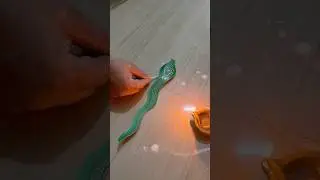 Snake Bomb 💣 🐍😱 #happydiwali #indiantradition #celebration #youtubeshorts