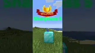 Sharpness 5 VS Smite 5
