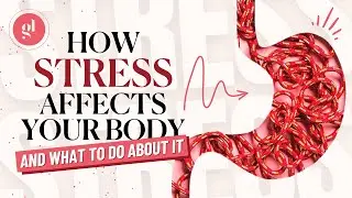 How Stress Affects Your Body (And What To Do About It)