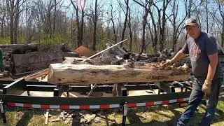 измельчение красного кедра и несколько советов и приемов по измельчению