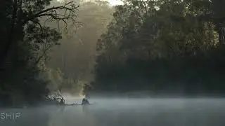 Quiet Streams
