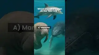 Which animal is known as the 
