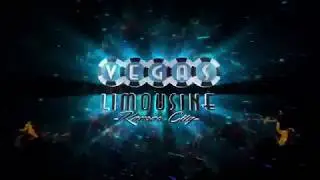 2018 Limo Holiday Light Tours