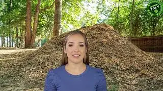 Buy Wood Chips Wholesale &ndash; Bulk Wood Chips for Sale | AtoZ Wood Company Wood Price