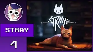 [#4][PL] Stray - Momo, Partytury i achievementy!