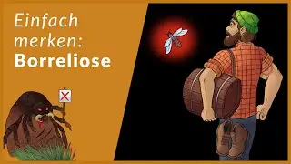 Borreliose schnell lernen | Eselsbr&uuml;cken f&uuml;r Infektiologie