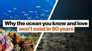 Why the ocean you know and love won&rsquo;t exist in 50 years | David Wallace-Wells | Big Think