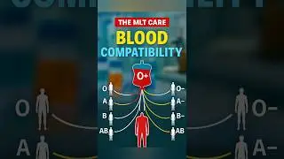 Blood Compatibility Explained | Safe Blood Transfusions Made Simple! #reels #shorts #mlt