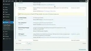 How to Install and Update WordPress Plugins from External Servers | Independent Plugin Management WP