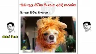 Athal Post - (02)