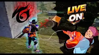 live curta venha cá
